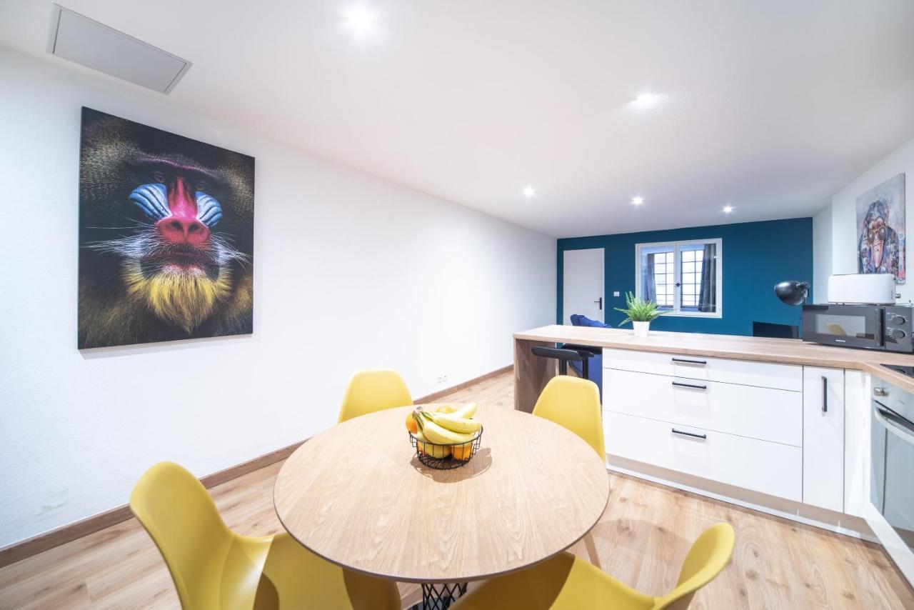 Appartement Pop Au Coeur Du Centre Ville Macon Bagian luar foto